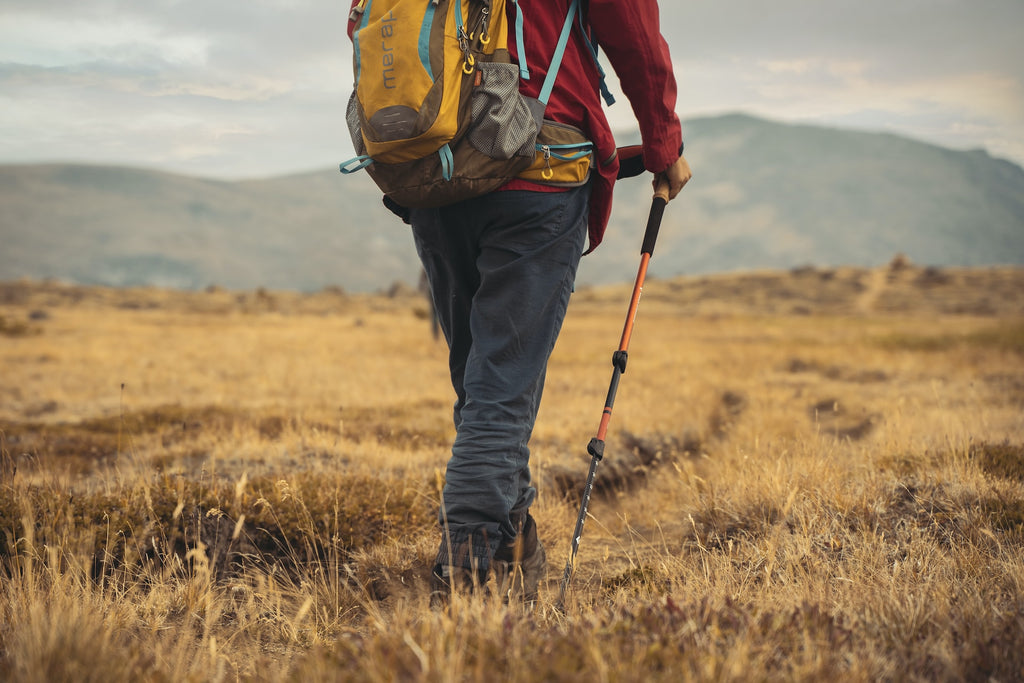 trekking poles