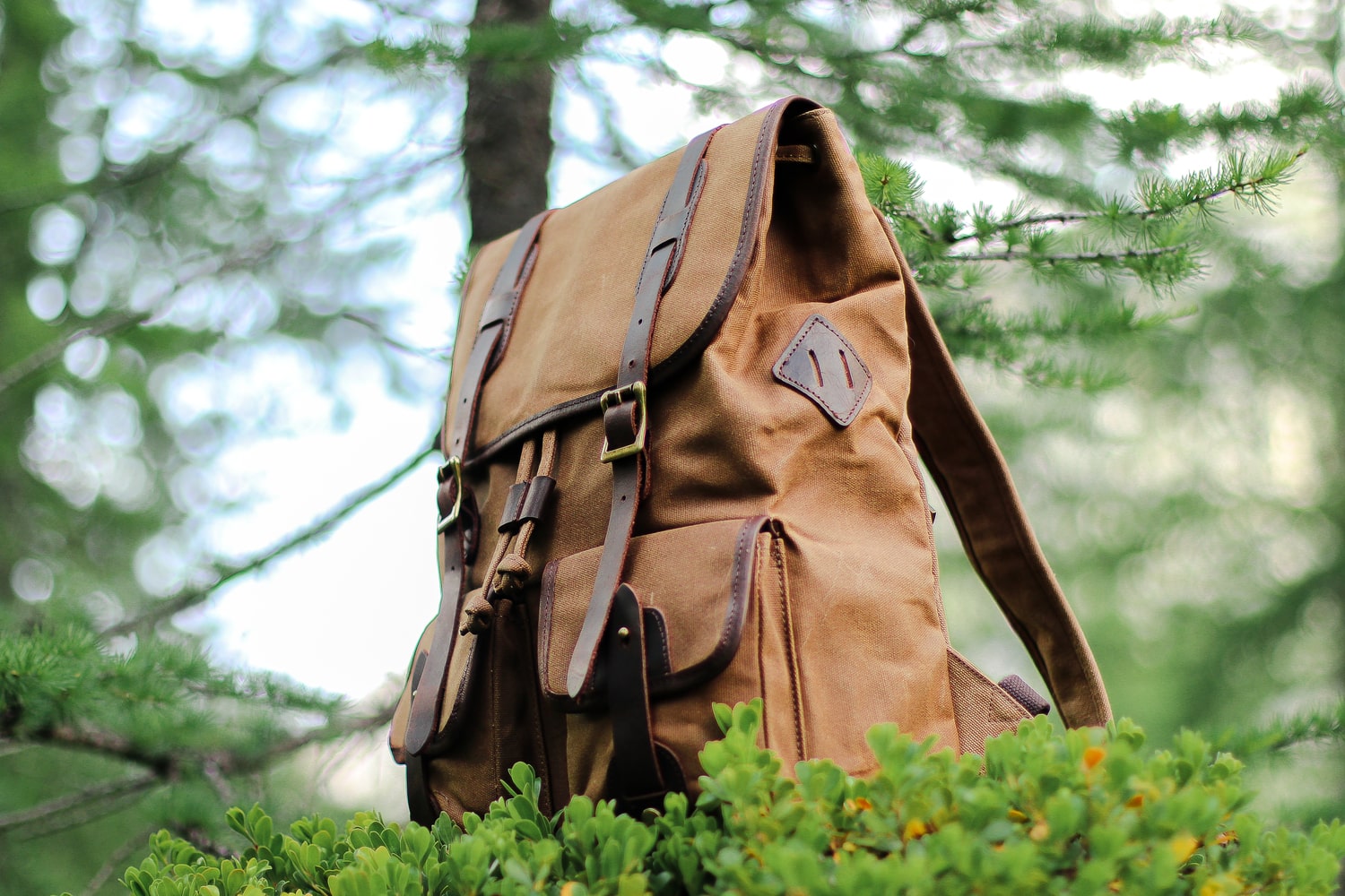 vintage travel canvas backpack