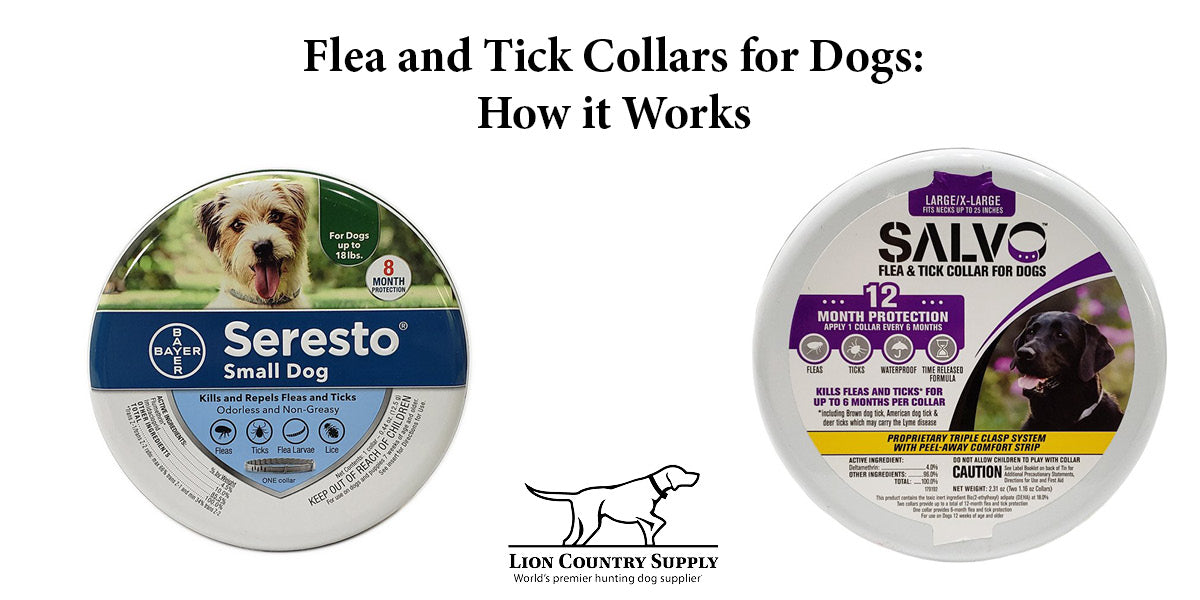Flea and Tick Collars for Dogs