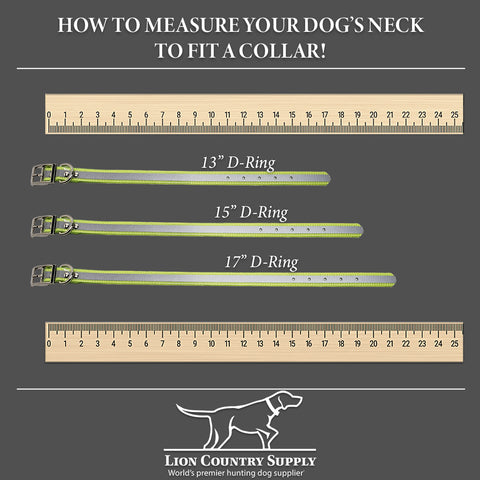 Dayglow Reflective 3/4 Inch D-Ring Sizing Guide