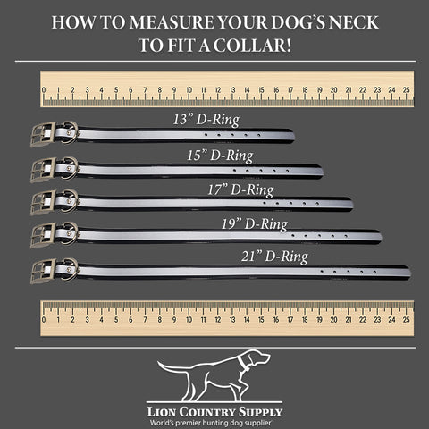 Dayglow Reflective 1-Inch D-Ring Measurement Guide