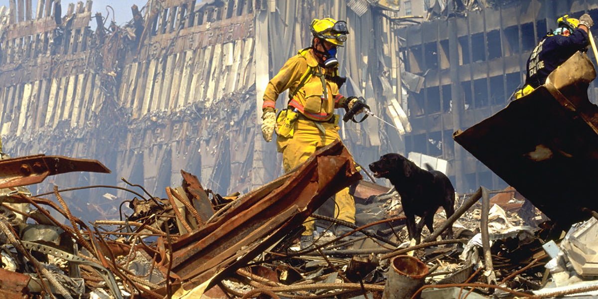 September 11th Search and Rescue Dogs