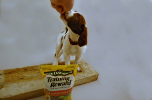 Pet Botanics Training Treats