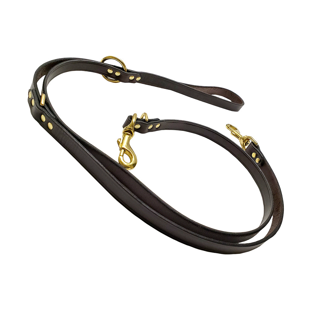 hunting dog leads and collars