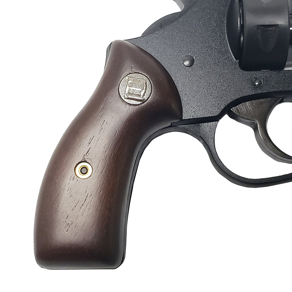 review of charter arms pathfinder .22