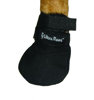 paws boots