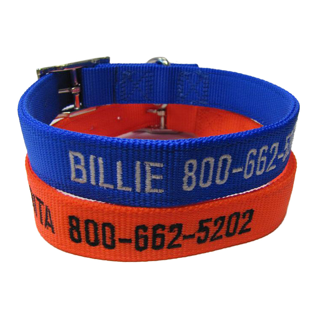 embroidered dog collars