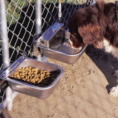 automatic dog waterer