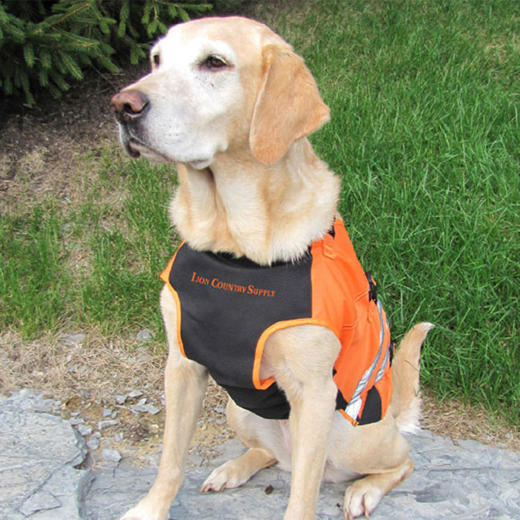 kevlar vest for hunting dogs