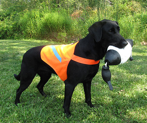 Hunting Dog Vest | Dog Safety Vest from Lion Country Supplly
