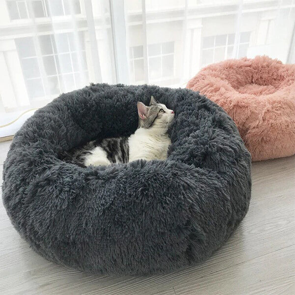 best cat bed