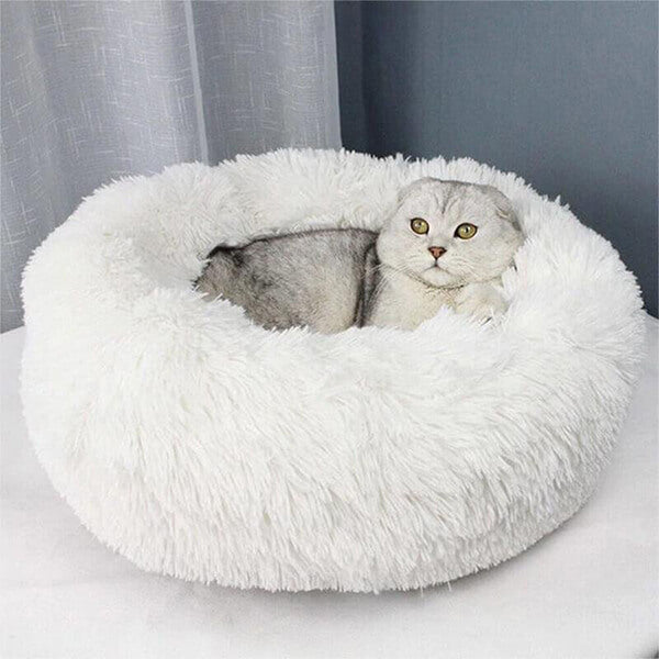 soft cat bed