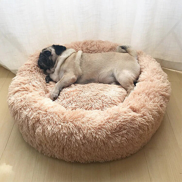 cute large dog beds
