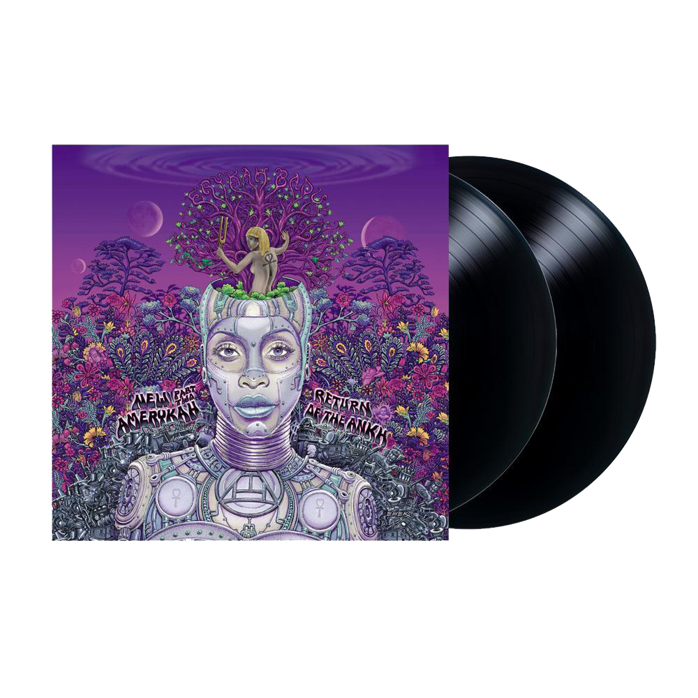 Download Erykah Badu New Amerykah Part 1 Rar 320