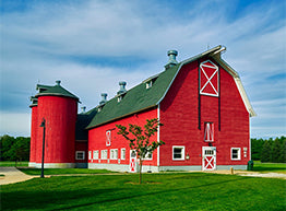 barn light fixtures
                                