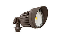 LED Landscape Light