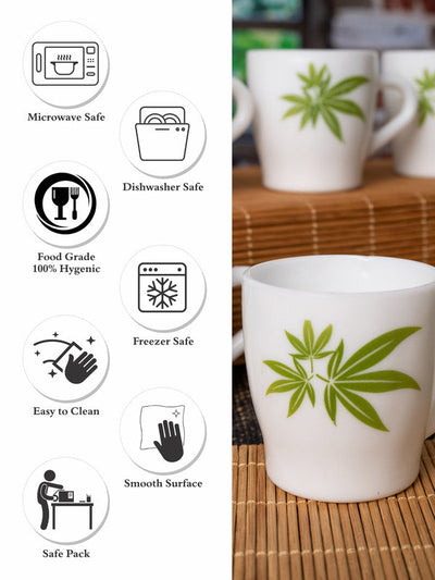 Miranda Tea & Coffee Mug (Set of 6pcs)