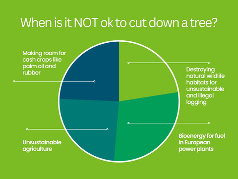 When is it NOT ok to cut down a tree 
