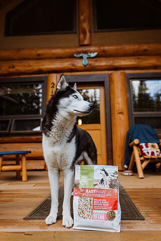 Husky dog standing on a porch next to a bag of Only Natural Pet EasyRaw Dehydrated Dog Food
