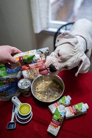 White colored boxer dog drinking bone broth over a bowl of rehydrated EasyRaw