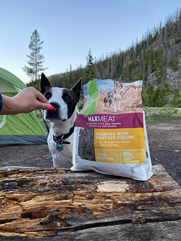 Black and white dog next to a bag of air-dried MaxMeat