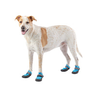 Brown and white medium sized dog wearing blue Arcadia Trail Warm Weather Boots on four paws