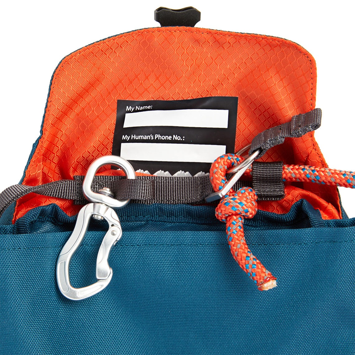 Arcadia Trail Packable Tie Out & Leash | Only Natural Pet