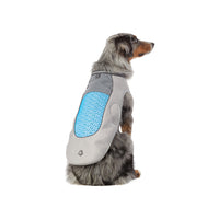 Gray Arcadia Trail Cooling Vest for Dogs on an Australian Shepherd dog
