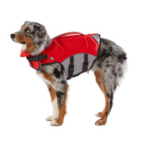 Red Arcadia Trail High Visibility Life Vest for Dogs on an Australian Shepherd dog