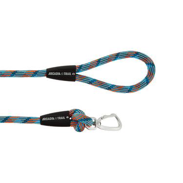 Arcadia Trail Paracord Blue Rope 4 Foot Leash for Dogs product image