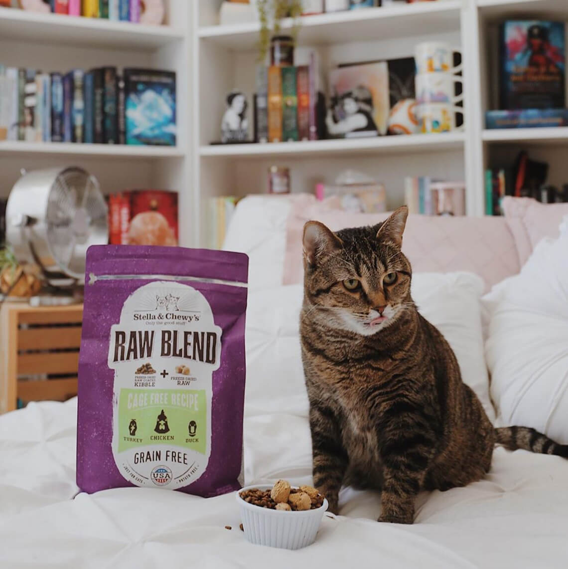 stella and chewy's dehydrated cat food