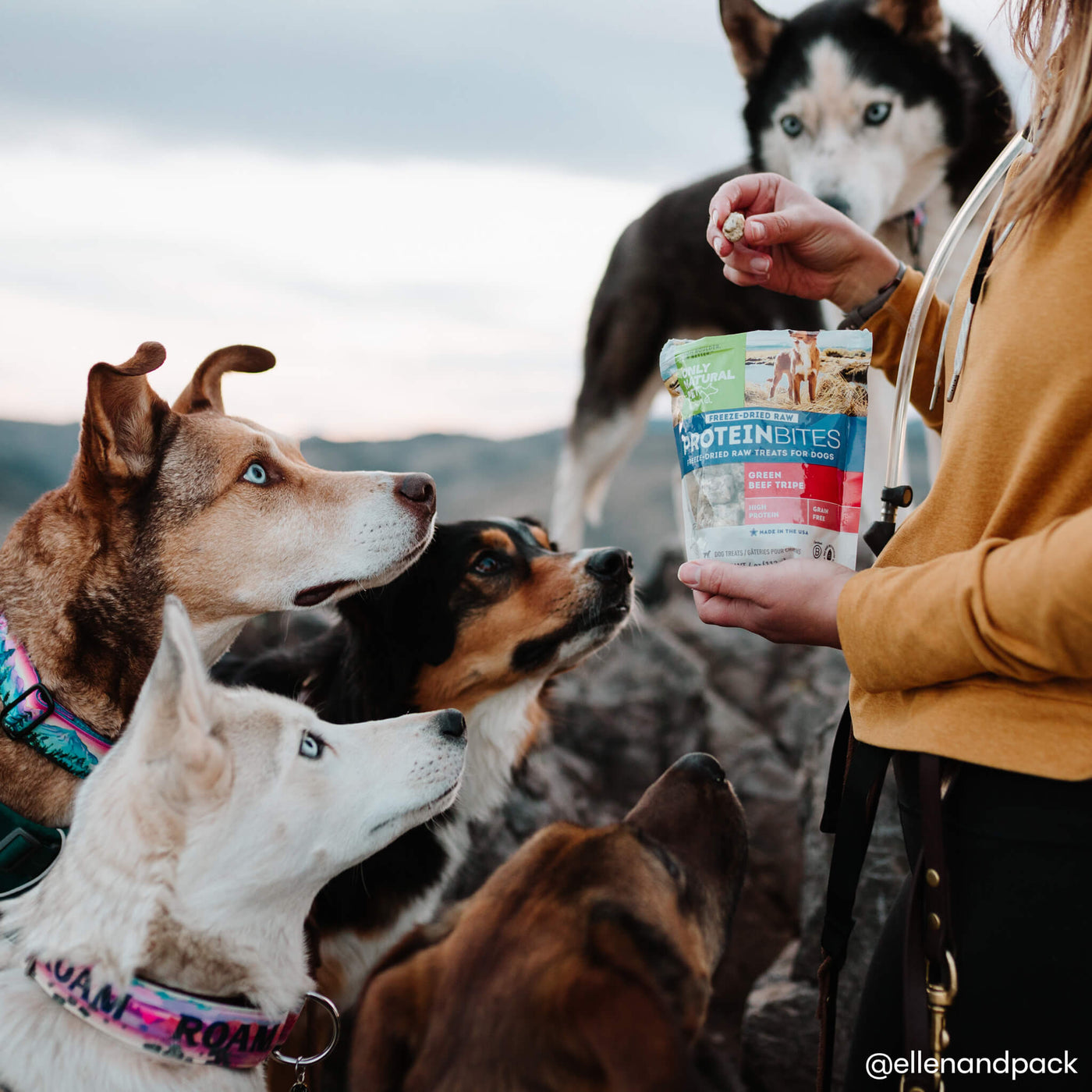 tripe dog treats