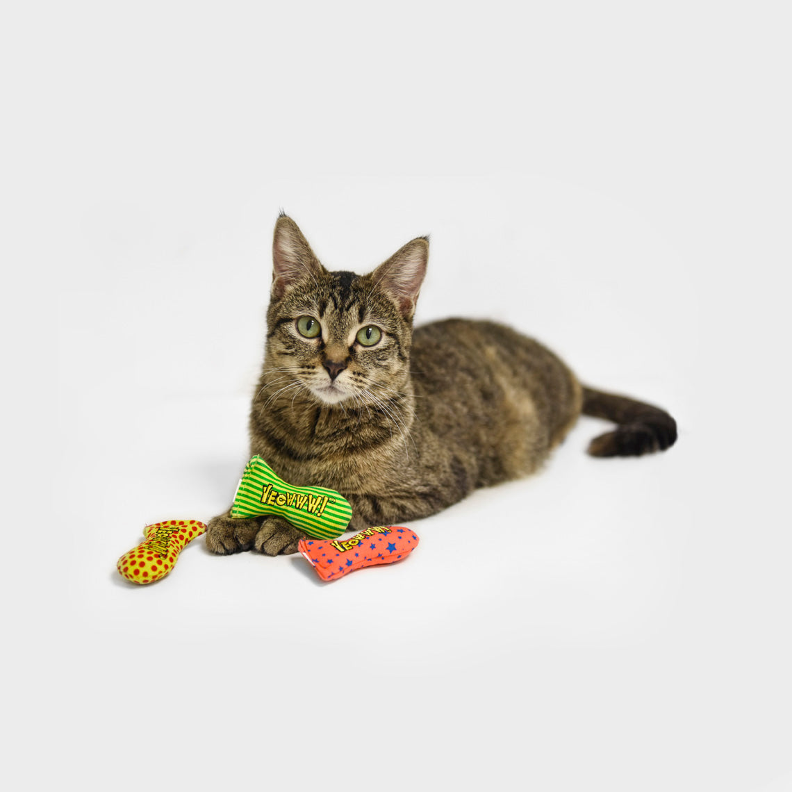 yeowww cat toys