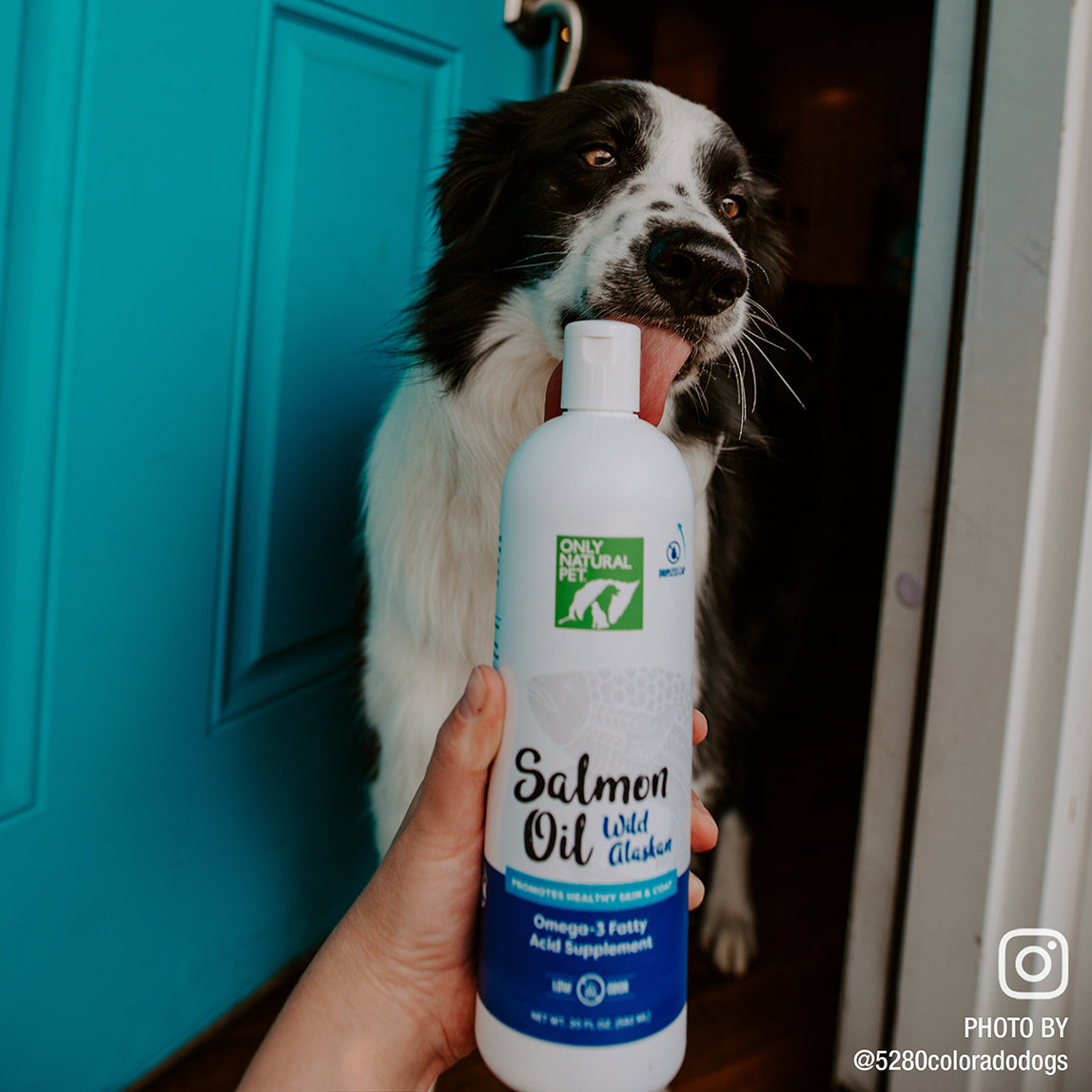 essential pet alaska wild salmon oil