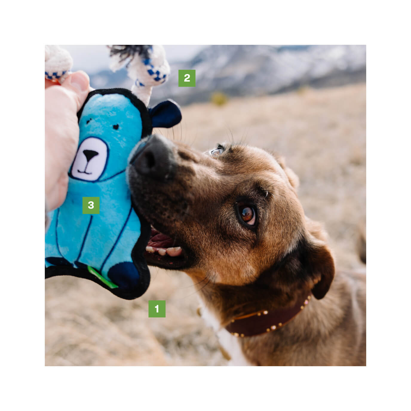 News – Tagged interactive toys for dogs – Nature's Animals