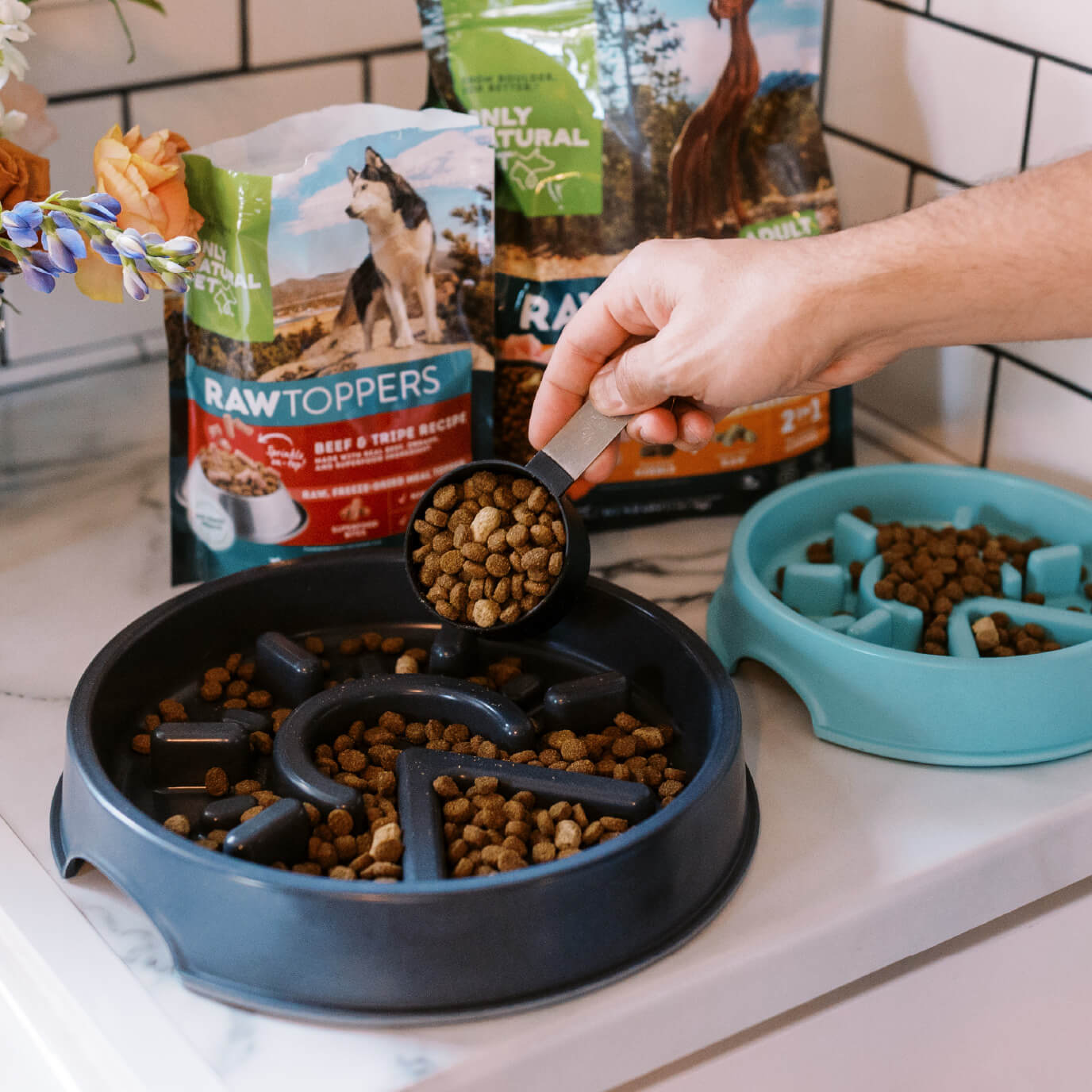 Benepaw Slow Feeder Dog Bowl Nontoxic Removable Pet Slow Eat Dish