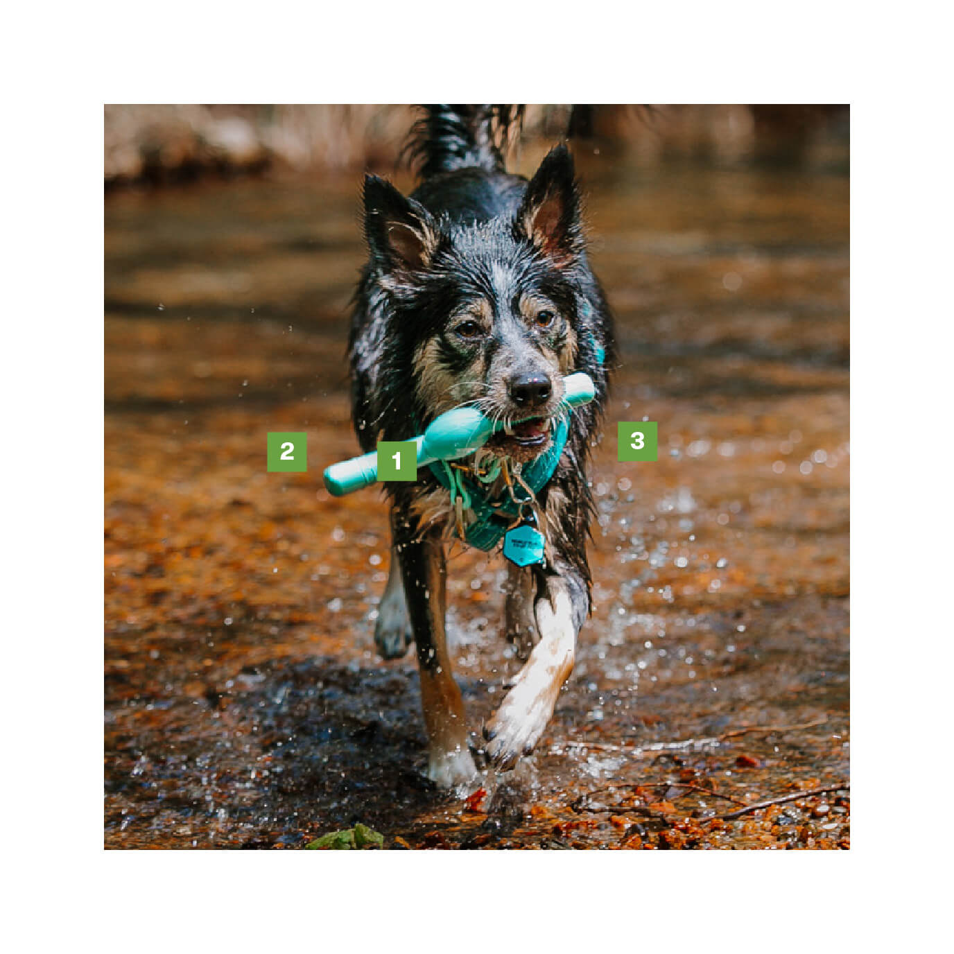 Dog Fetch Toy from Natural Homespun Cotton Rope for Outdoor Fun