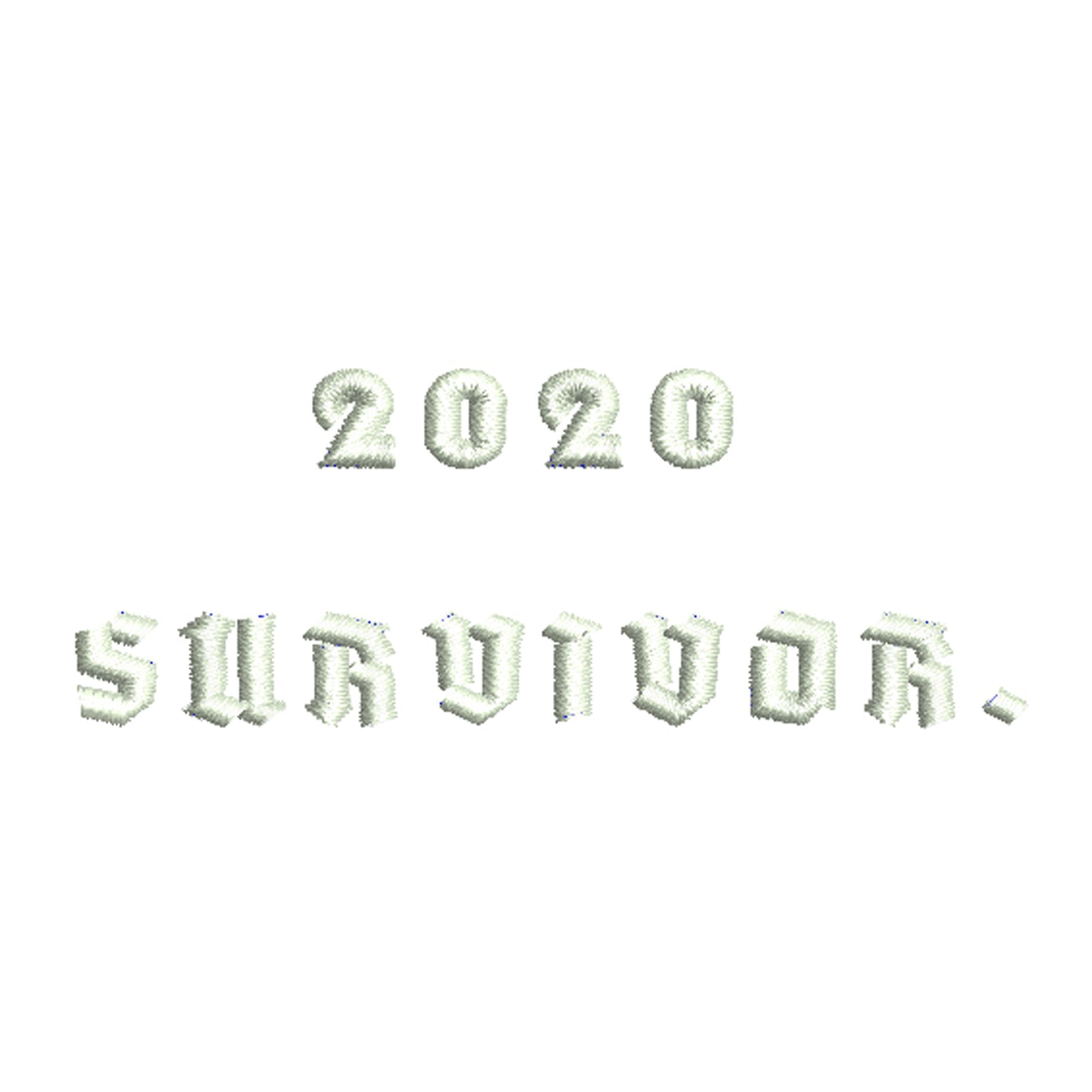 2020 Survivor