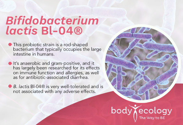 Graphic reading the following while showing a microscopic image of Bifidobacteriumlactis Bl-04.  This probiotic strain is a rod-shaped bacterium that typically occupies the large intestine in humans.  It's anaerobic and gram-positive, and it has  largely been researched for its effects on immune function and allergies, as well as for antibiotic-associated diarrhea.