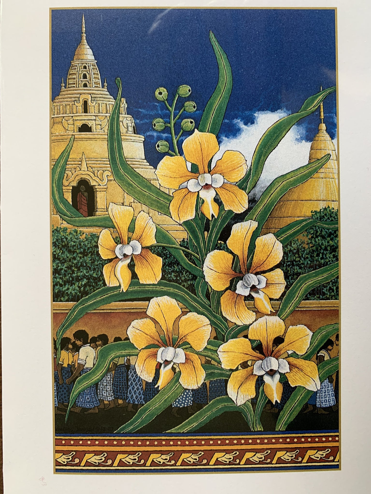 Burmese Orchid by Douglas Johnson (choose boxed or single cards)