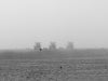 Fog at Venice Beach No. 1, Josh Welch Photography