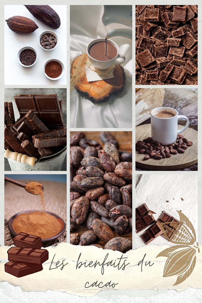 Absolème quels sont les bienfaits du cacao sur la santé