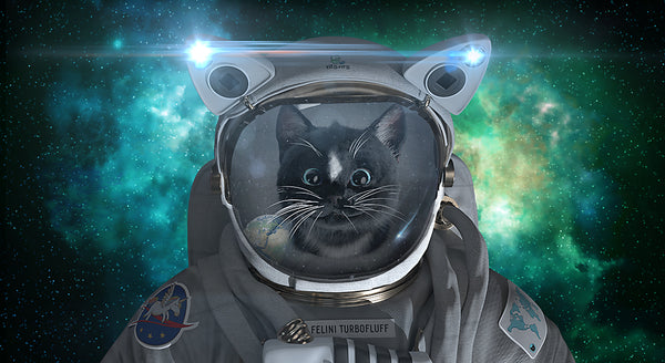 Felini Cat Space Hero