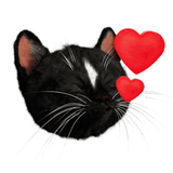 Felini the Kitty Emoji Kissing Cat With Hearts