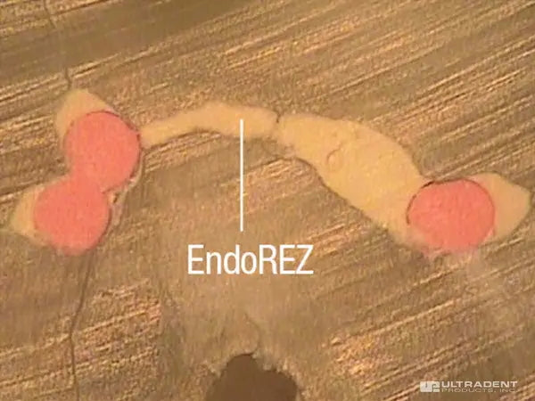 EndoREZ Sequece-Test