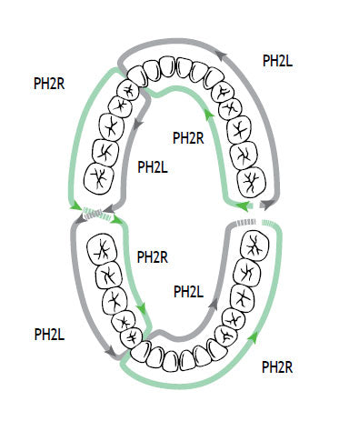 PH2L and PH2R tips use