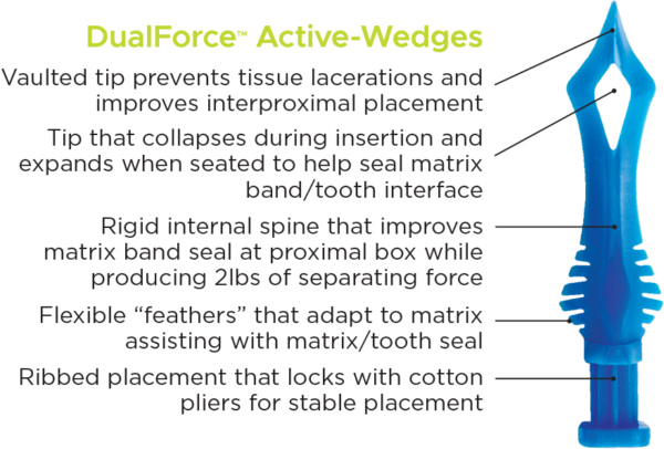 DualForce Active-Wedges: technical details.