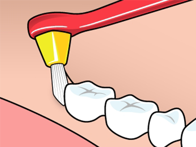 Interspace Toothbrush in use