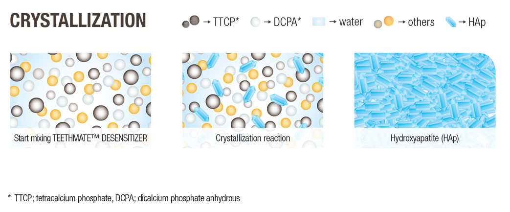 Teethmate Desensitizer Hydroxyapatite (HAp)