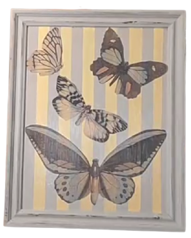 Butterfly Decoupage on Spice Rack